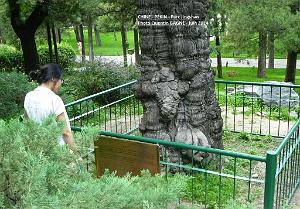 Pekin Jingshan 59